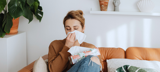 Home Allergies Are Real—Here’s How to Fight Them