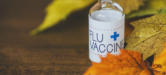How to Stay Healthy This 2024 Flu Season: Top Tips for Germ-Free Living"