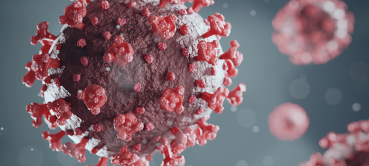 Everything You Need to Know About the New COVID Variant XEC: A Comprehensive Guide
