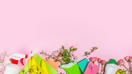 Spring cleaning checklist 2024