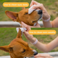 SONO Pet Wipes
