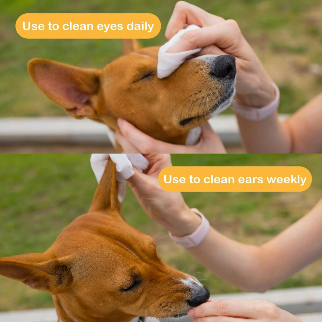 SONO Pet Wipes
